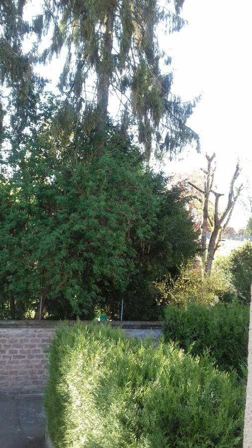 Épinal Gite Le Jardinier מראה חיצוני תמונה